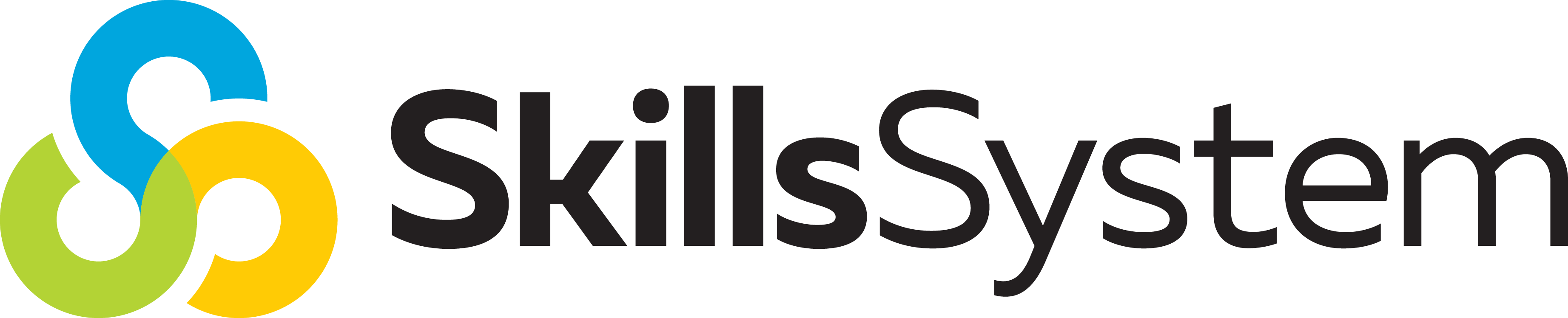 Skills System Logo